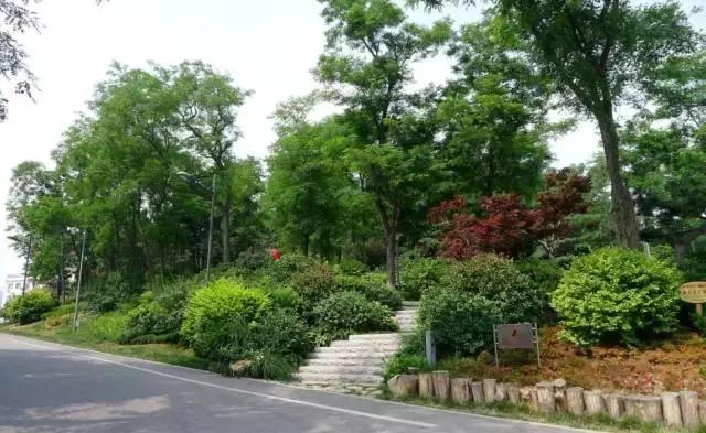 威海五一免费门票景点,威海景点免费开放