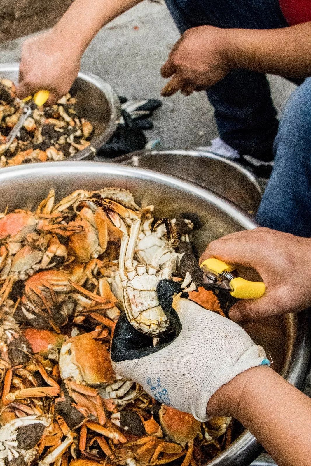 长长长长长白街,串起秦淮白下的爱恨情仇