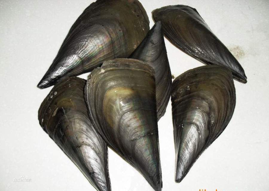 大连长海县海鲜自助,长海县海鲜预订