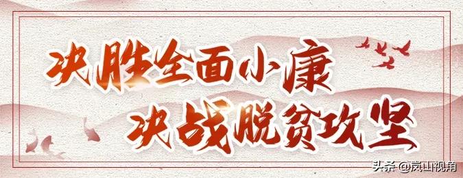 岚山区经济支柱产业,岚山经济总量怎么样