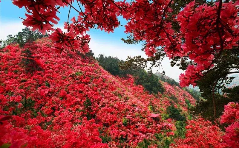 住在黄陂的人好幸福,住在黄陂的人真的很幸福吗