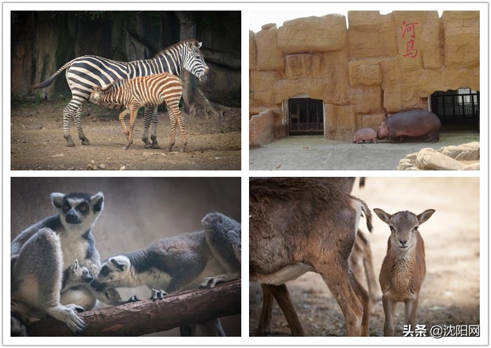 快来选出你心中最美的沈阳景点,沈阳最值得去的十大景点