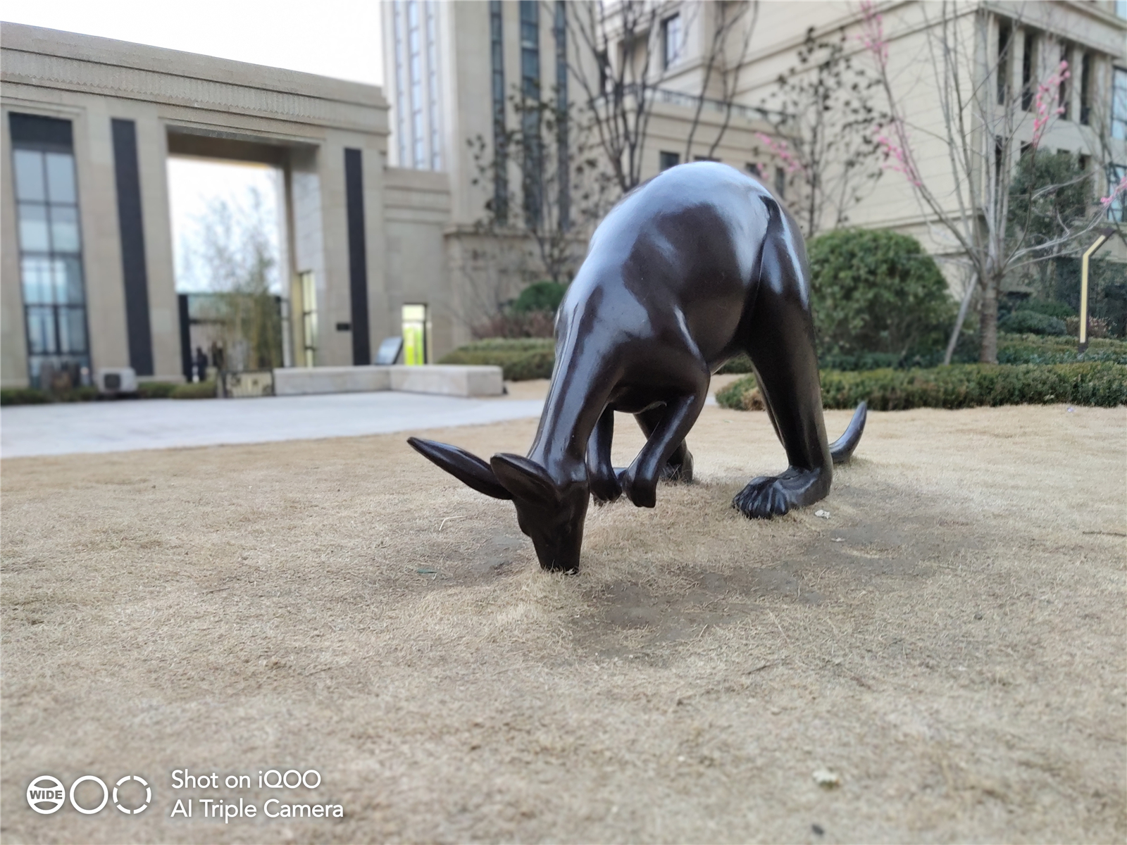 iqoo2998元,1099元iqoo手机