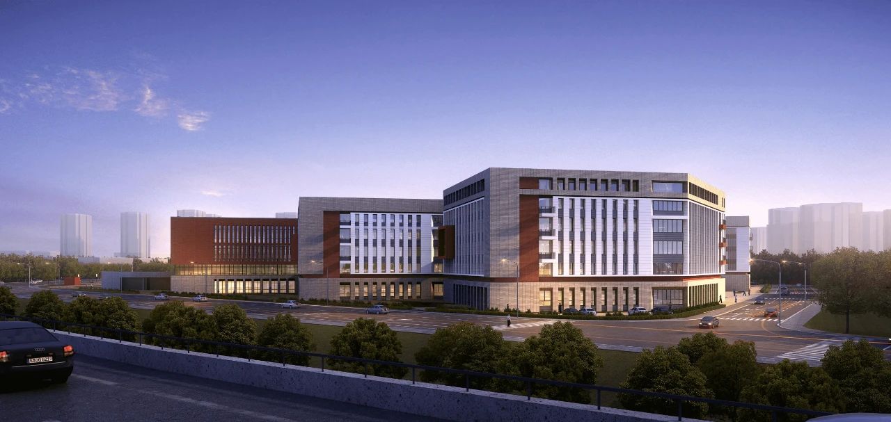 温州龙湾状元学区划分,温州龙湾区状元学校