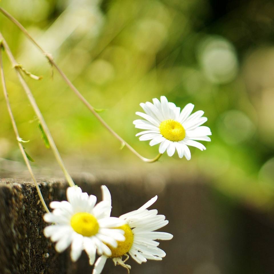 美文、谚语、哲理成语已集齐,背下来给作文增彩