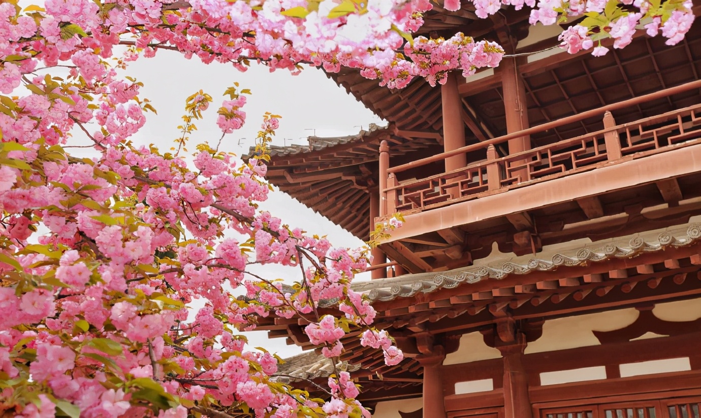 西安五天四夜旅游攻略大雁塔,西安白天适合去哪里玩大雁塔