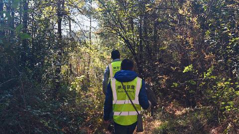 用鹰捕猎,用老鹰捕猎