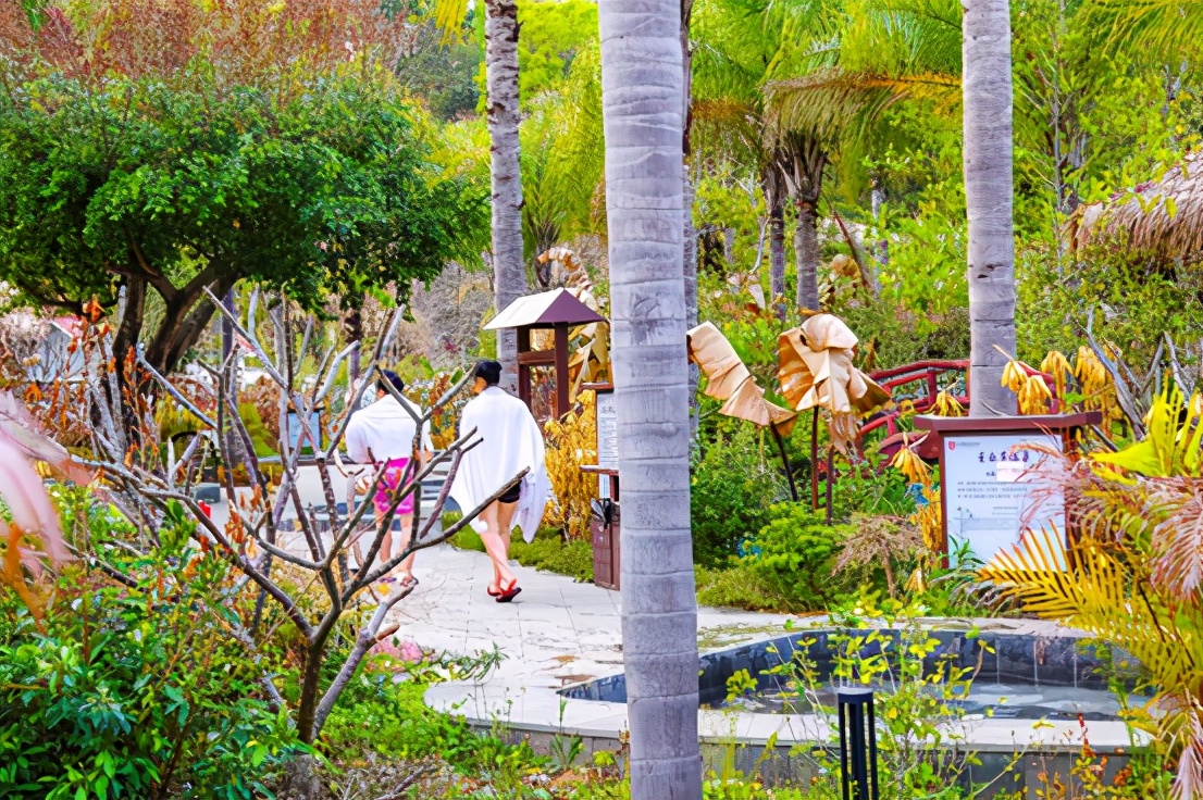 广东好评旅游酒店推荐,广东好酒店推荐