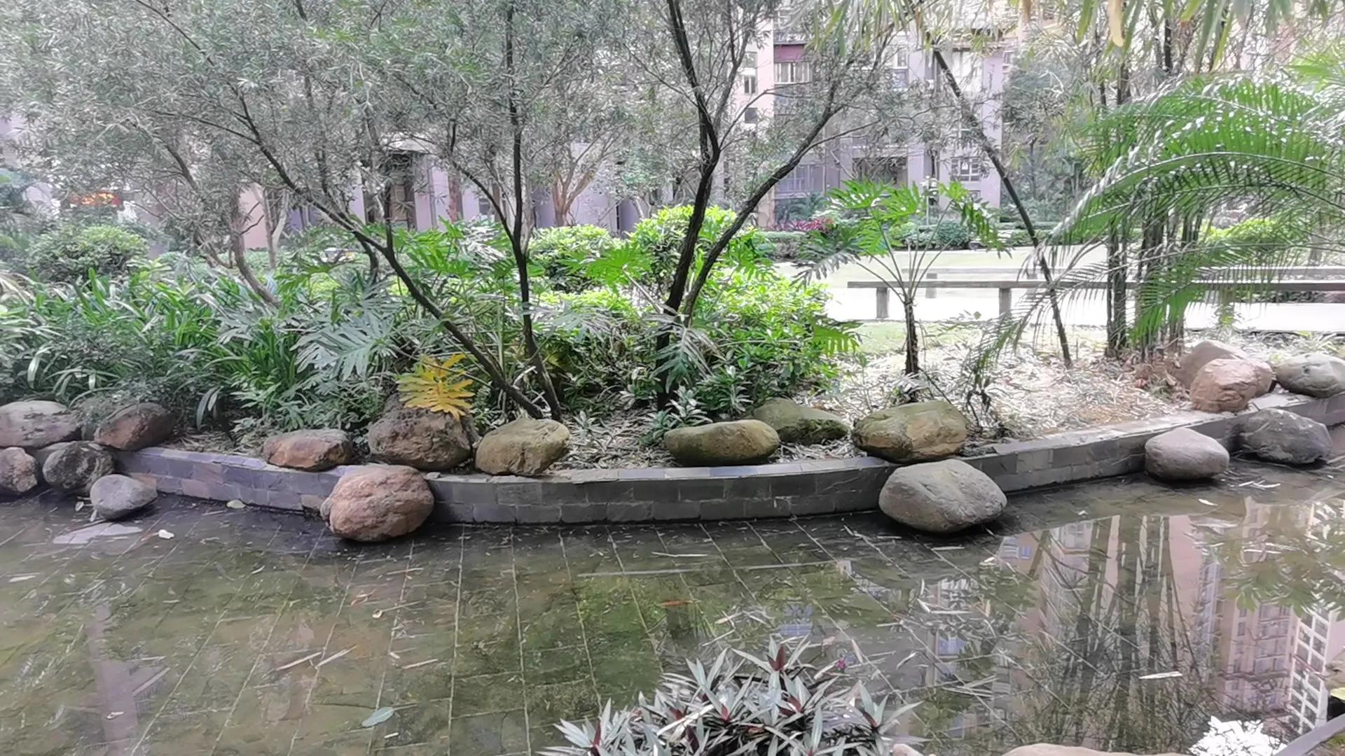 买房时注意千万别买这几层,租房买房注意事项