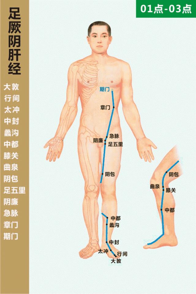 疏肝解郁按摩哪些穴位效果好,疏肝解郁艾灸哪些穴位比较好