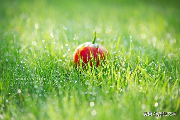 爱了谁伤了谁,受过的伤还能爱谁