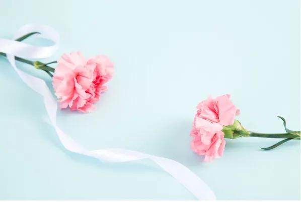 有兰花的香,有兰花香的兰花