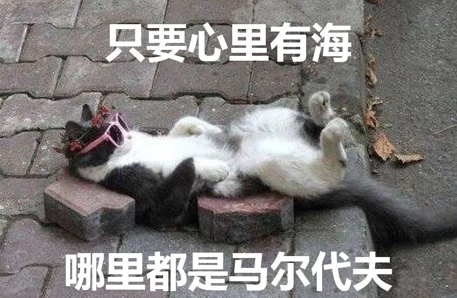 到底一个星期啪几次才算正常?