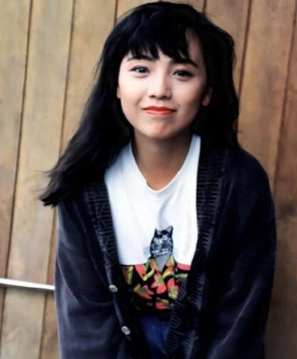 香港人评价万梓良邓萃雯,香港万梓良