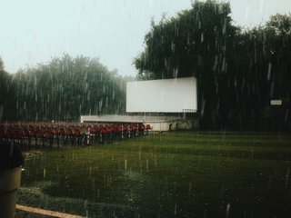 苹果最好看的照片,哪款iphone拍出来的照片更好看
