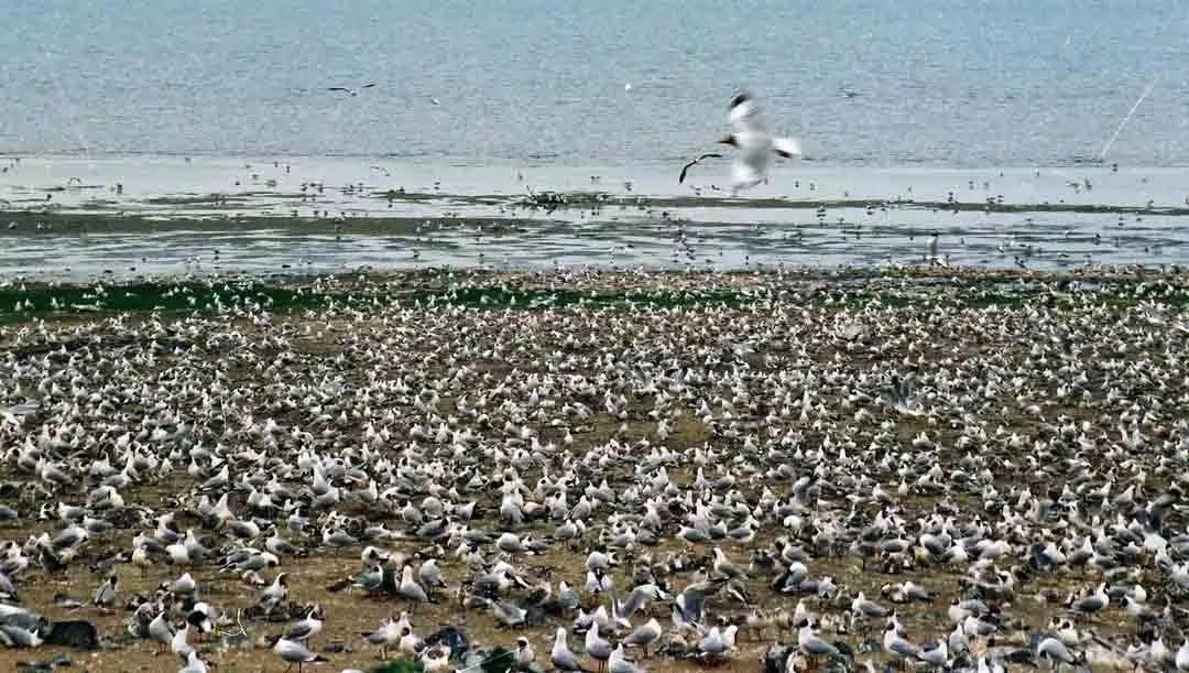 来感受大西北的异域风情,领略一下西北风情