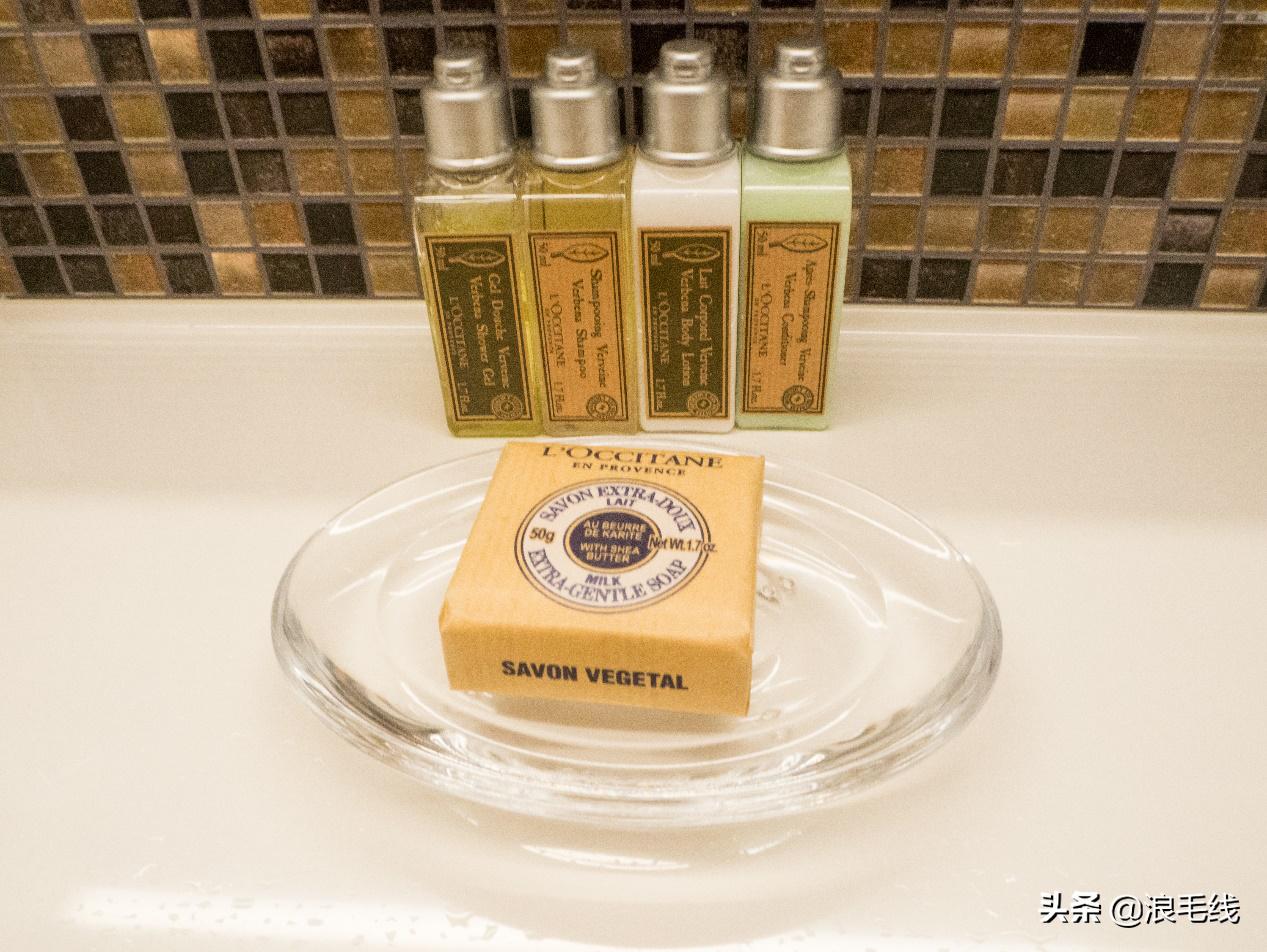 海洋光谱号邮轮游玩攻略,海洋光谱号邮轮旅行攻略