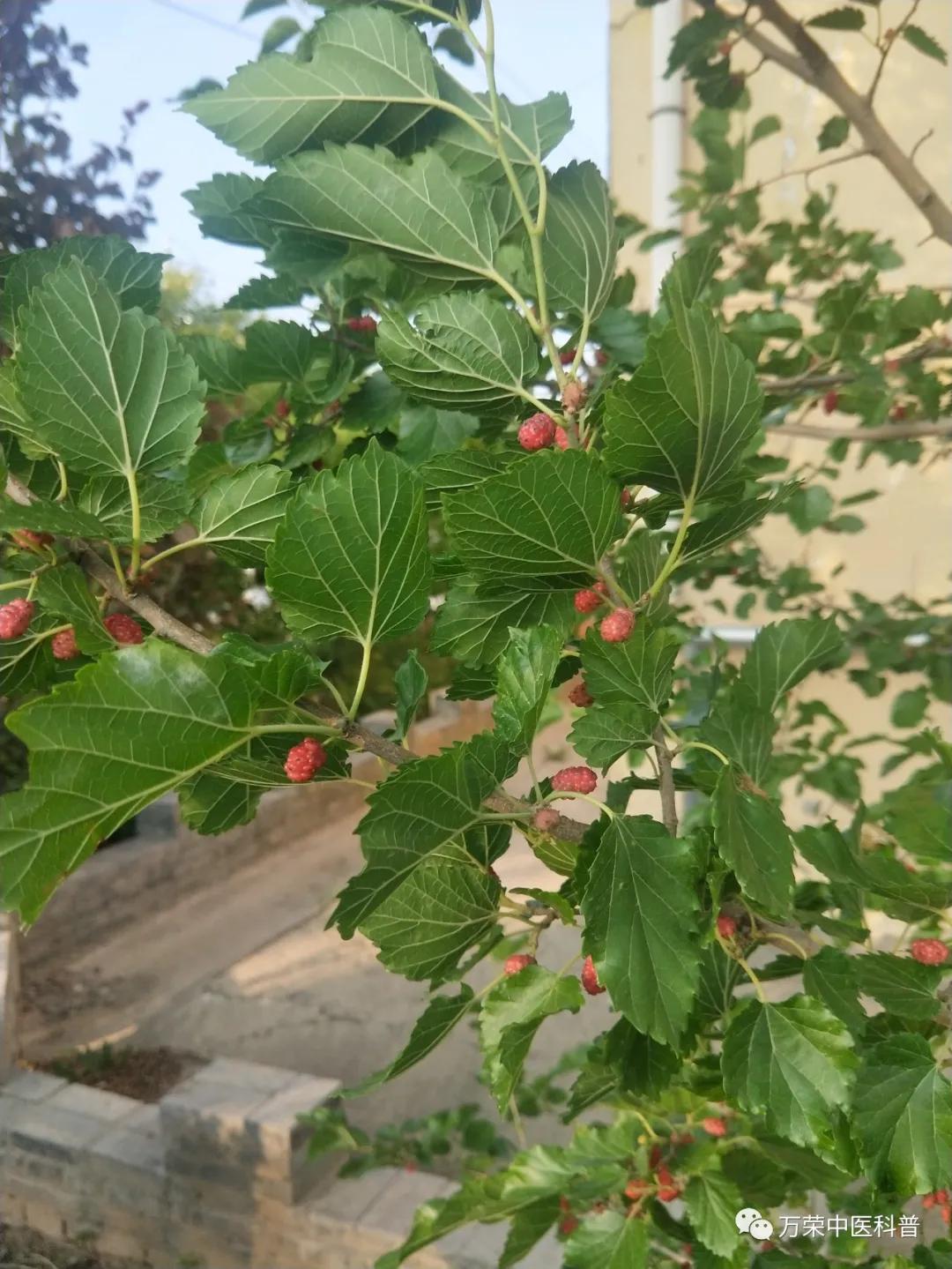 跟我回家在线免费看,跟我回家免费看