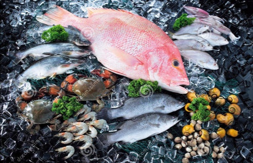 液氮海鲜速冻解冻效果,液氮速冻海鲜的优缺点