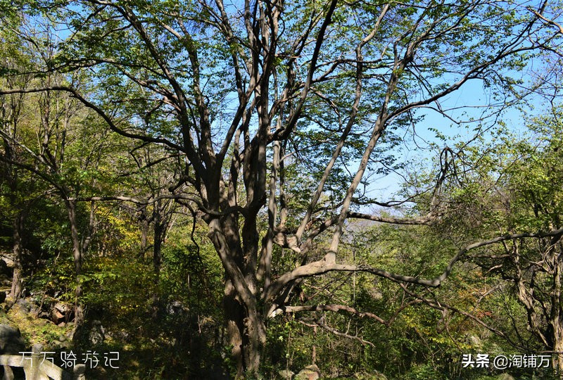 趁青春多折腾,趁着年轻四处游一游