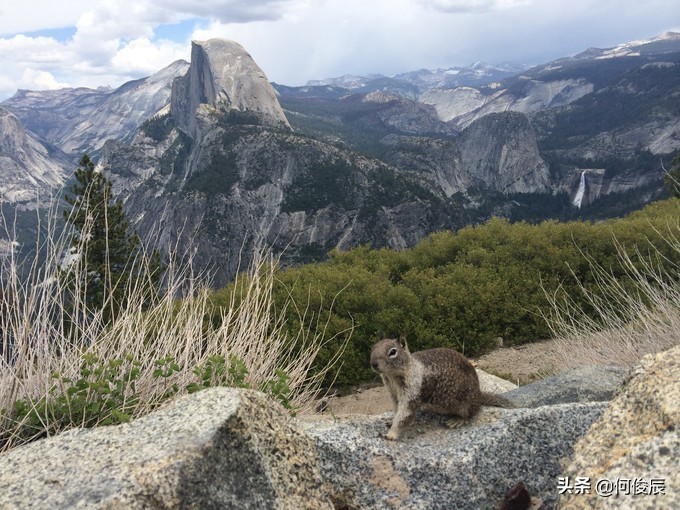 加州优胜美地冰川,优胜美地冰川封顶