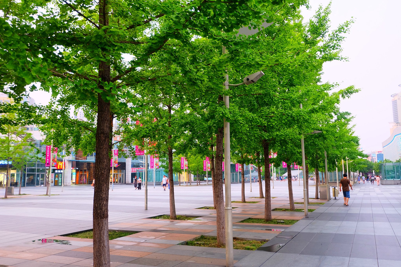 骆驼青岛,骆驼旅行在路上