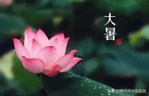 大暑吃姜以阳制阳,大暑怎么吃羊肉