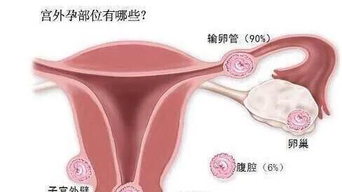 专题科普:怀孕那些事(二)