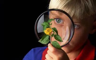 宝宝老捡乱七八糟的东西吃怎么办,宝宝总喜欢捡地上脏东西怎么办