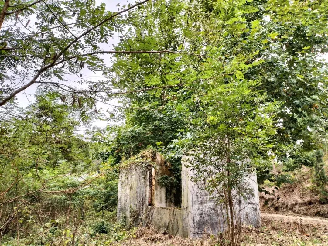 全真教地图,全真教发源地是圣经山吗