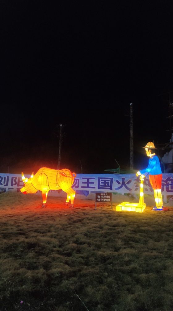 浏阳烟花花灯艺术,长沙市浏阳元宵花灯展