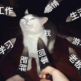 早上好真实会动的动态表情包,当代年轻人的真实现状表情包