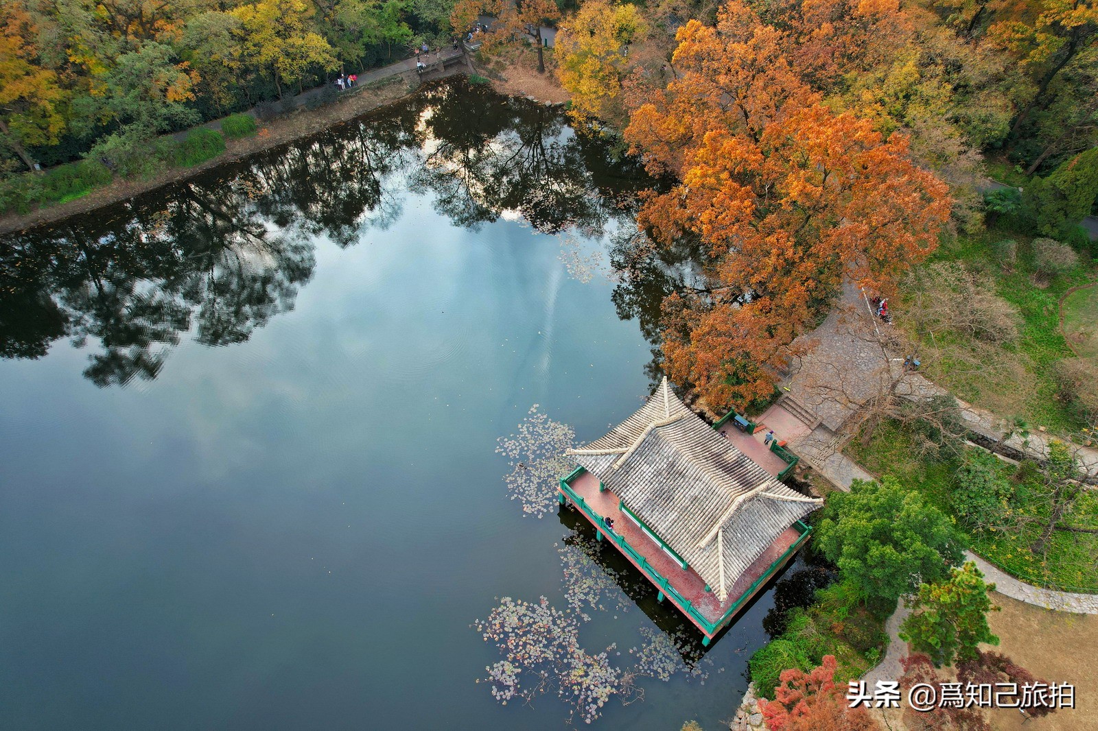 美在金陵文艺大咖秀,美在金陵梁梅