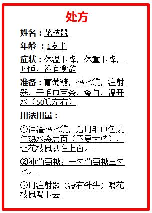 这才是撸猫正确的方式,撸猫不如撸狗