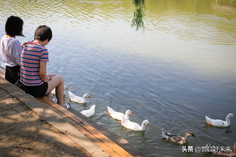 沈师复试通知,沈师现在让进吗