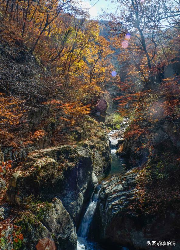 论耍，川A大军，世界第一！（内含免费耍福利）