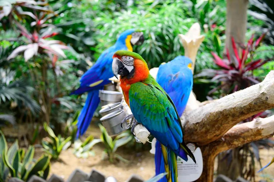 閲戠涓板彴璧忕帺鏀荤暐鍑虹倝,涓板彴閲戠鏂囧寲鏃呮父鏀荤暐