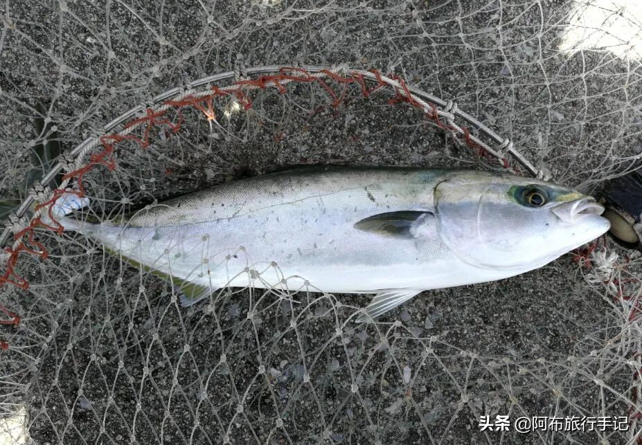 名古屋周边可以去哪里,名古屋附近值得去的地方