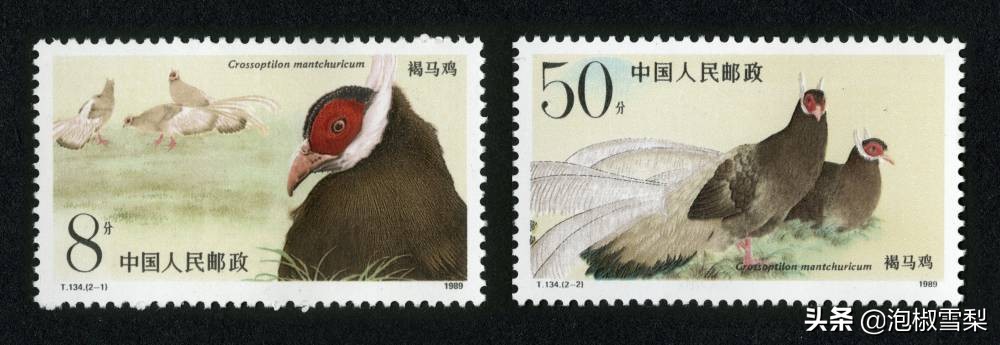 中国1989年发行的全部邮票图片｜正负电子对撞机.火箭.孔子.癌症