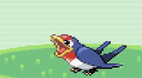 小时候以为《口袋妖怪》能上太空,长大后才发现,我被朋友耍了