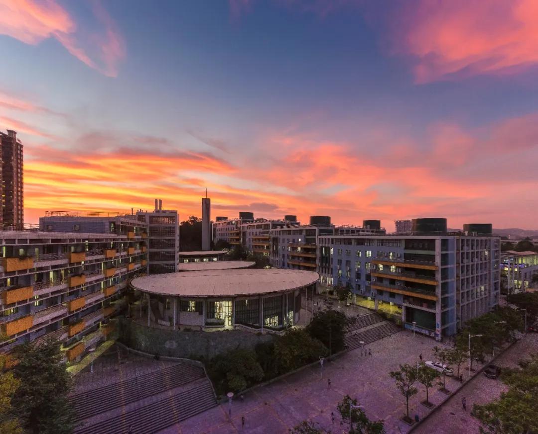 报考华南农业大学,华农报录比