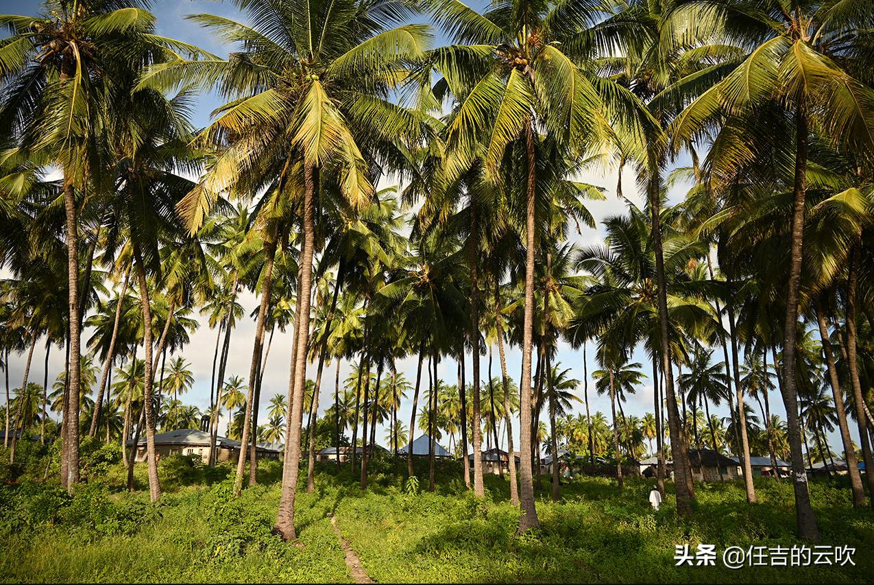 从尼康24-200镜头表现看超大变焦成气候还有必要用大三元吗