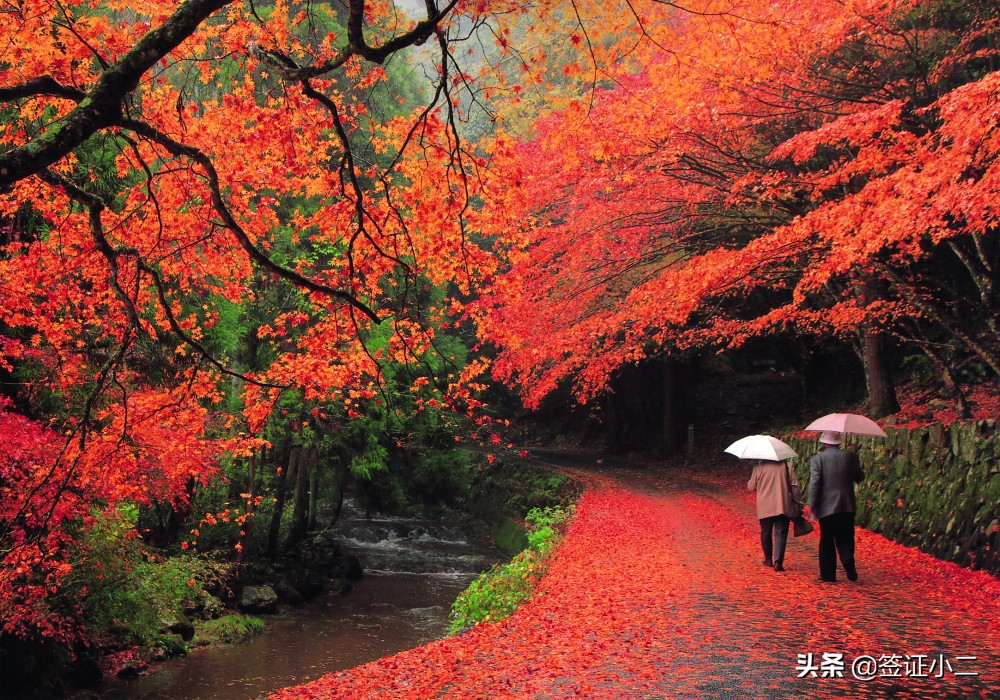 怎么简单办理日本签证,广州日本签证最新通知