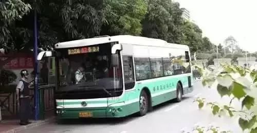 广东二师番禺附中今年本科率,番禺禺山高级中学与二师附中对比