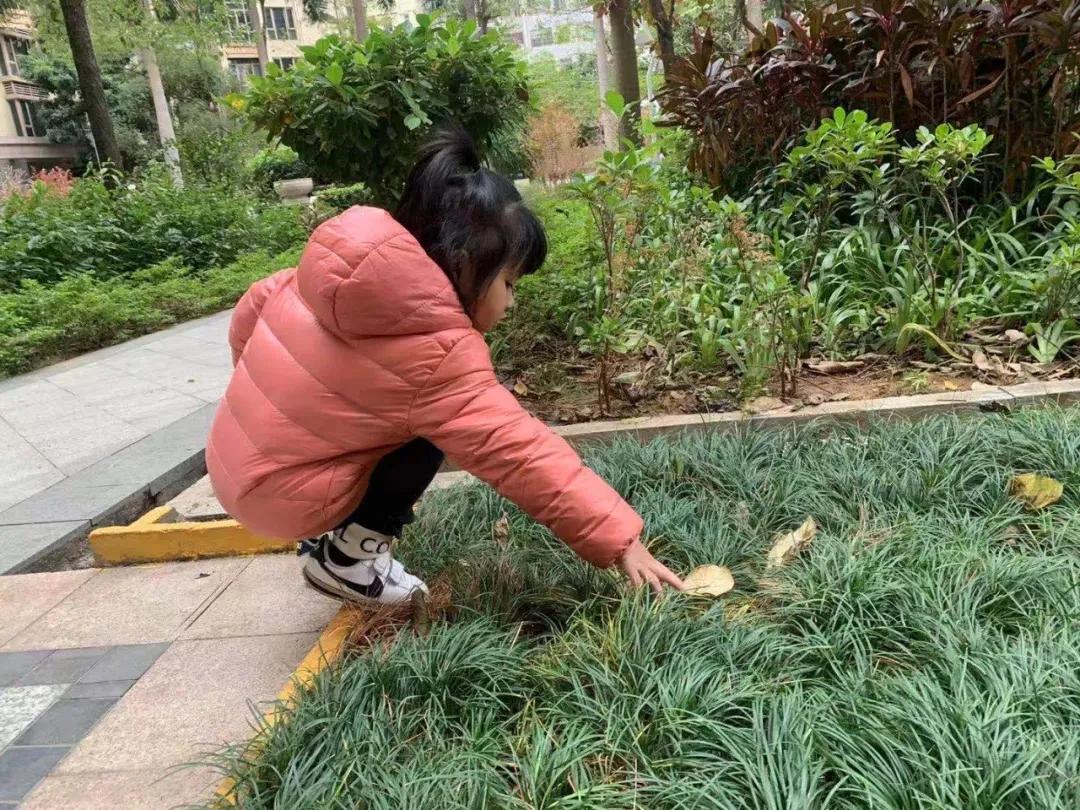 地球变臭了怎么办,地球变灰了