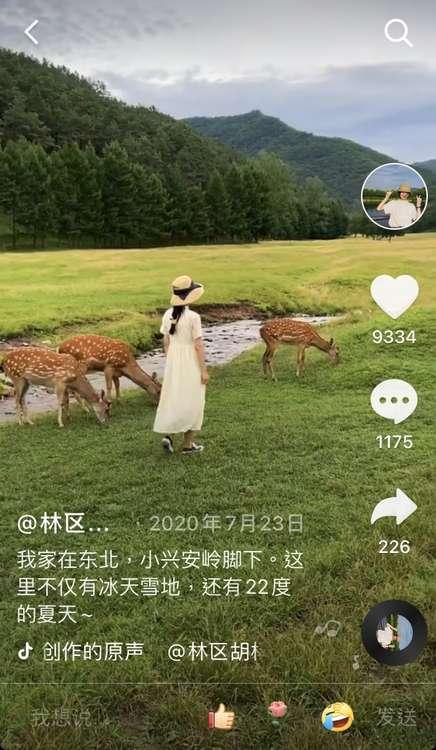 95后女孩毕业回乡采蘑菇月销10万元小森林里也有大宝藏