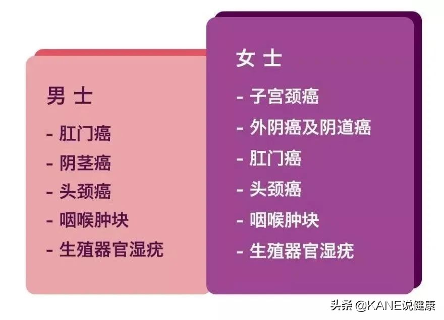 宫颈癌治疗能消灭hpv病毒吗,宫颈癌筛查hpv阳性怎么提高免疫力