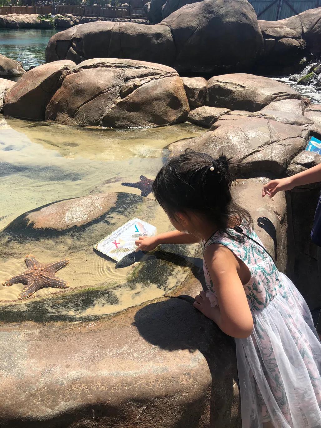 澳洲黄金海岸水上世界景点,澳洲黄金海岸有什么好玩的吗