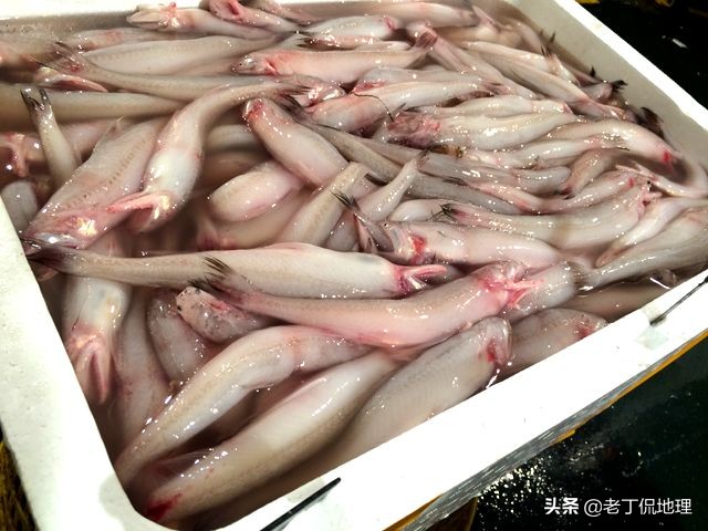 中国海鲜地图,中国海鲜最多地区