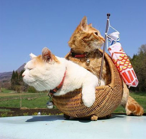 女人笑话100个,妇女们的笑话